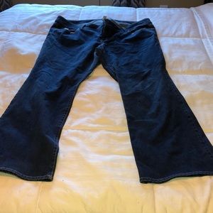 Vintage Old Navy premium denim plus size 24W